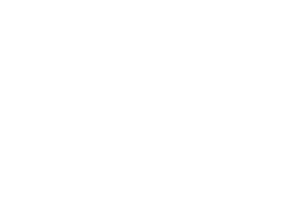 Brittany Bauer Events